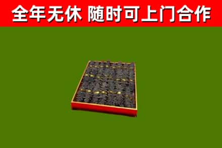 驿城回收海参